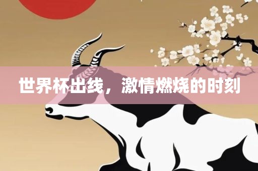 世界杯出线，激情燃烧的时刻