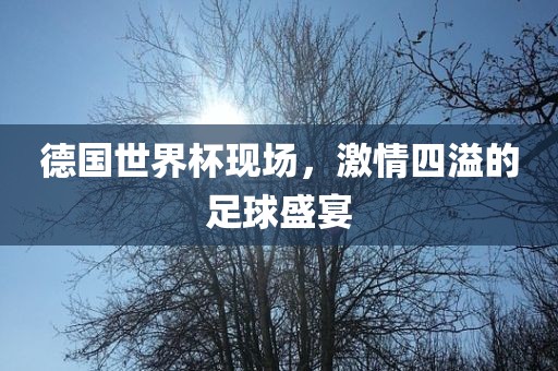 德国世界杯现场，激情四溢的足球盛宴
