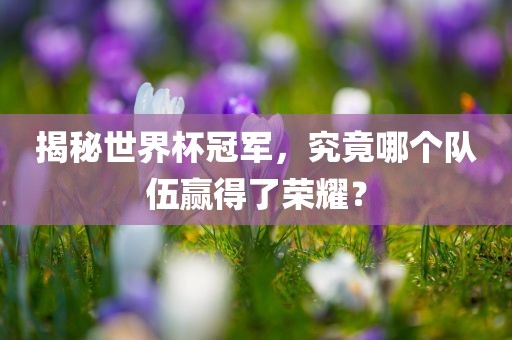 揭秘世界杯冠军，究竟哪个队伍赢得了荣耀？漯河市盈旭机械设备有限公司