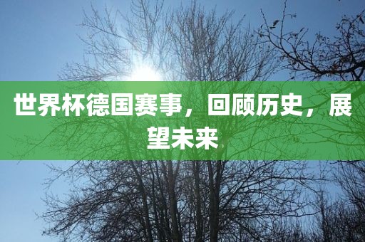 世界杯德国赛事，回顾历史，展望未来漯河市盈旭机械设备有限公司
