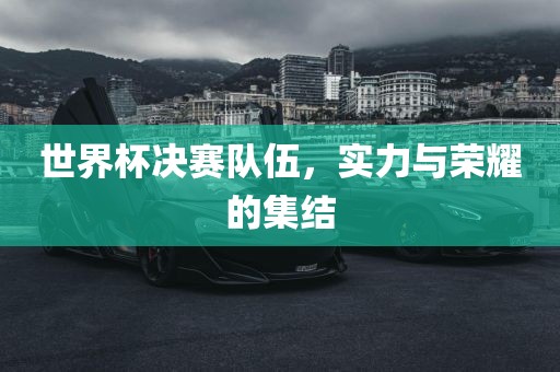 世界杯决赛队伍，实力与荣漯河市盈旭机械设备有限公司耀的集结