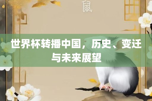世界杯转播中国，历史、变迁与未来展望漯河市盈旭机械设备有限公司