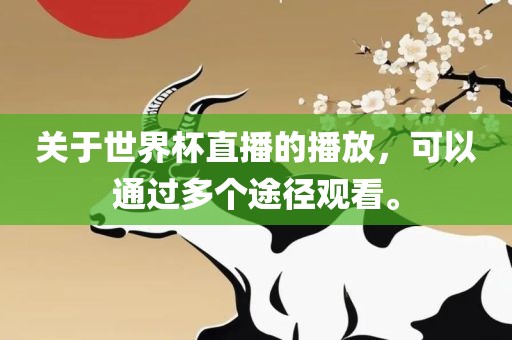 关于世界杯直播的播放，可以通过多个途径观看。漯河市盈旭机械设备有限公司