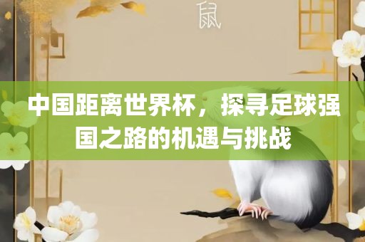中国距离世界杯，探寻足球强国之路的机遇与挑战