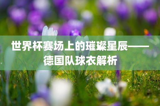 世界杯赛场上的璀璨星辰——德国队球衣解析漯河市盈旭机械设备有限公司