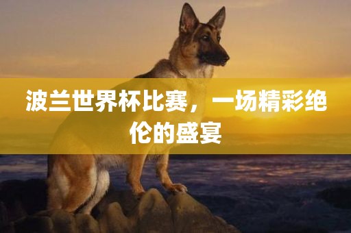 波兰世界杯比赛，一场精彩绝伦的盛宴