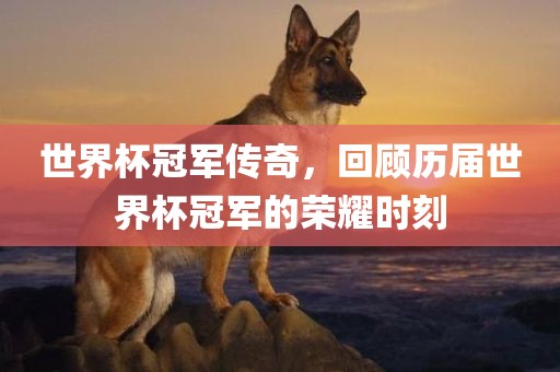 世界杯冠军传奇，回顾历届世界杯冠军的荣耀时刻漯河市盈旭机械设备有限公司