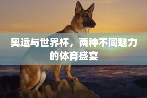 奥运与世界杯，两种不同魅力的体育盛宴