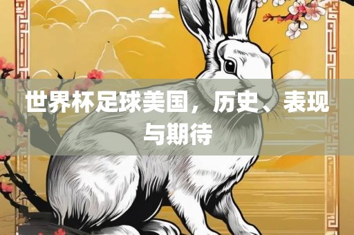 世界杯足球美国，历史、表现与期待