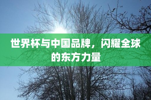 世界杯与中国品牌，闪耀全球的东方力量