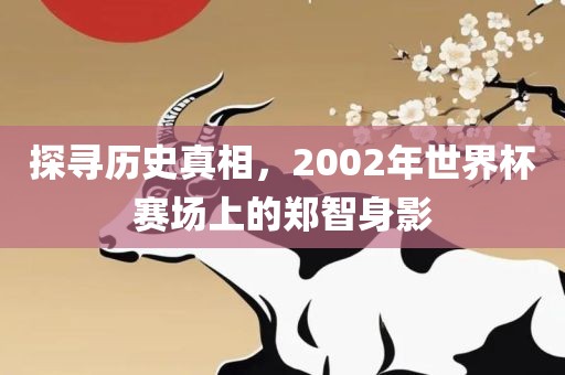 郑智与世界杯赛场