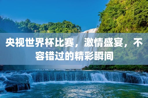 央视世界杯比赛，激情盛宴，不容错过的精彩瞬间漯河市盈旭机械设备有限公司