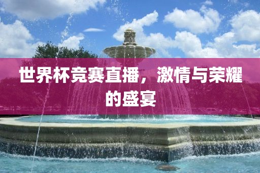 世界杯竞赛直播，激情与荣耀的盛宴