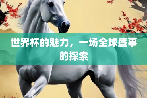世界杯的魅力，一场全球盛事的探索