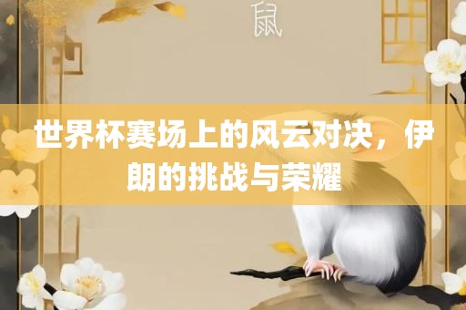 世界杯赛场上的风云对决，伊朗的挑战与荣耀漯河市盈旭机械设备有限公司