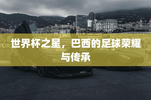 世界杯之星，巴西的足球荣耀与传承