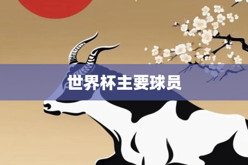 世界杯主要球员