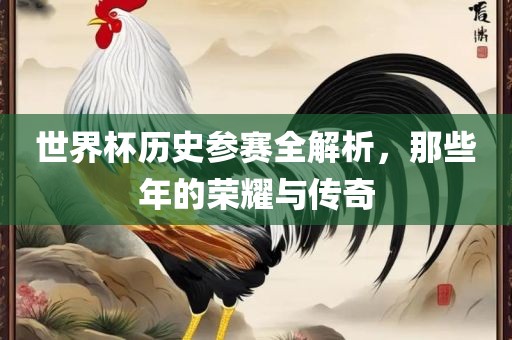 世界杯历史参赛全解析，那些年的荣耀与传奇