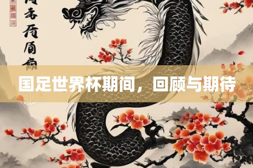 国足世界杯期间，回顾与期待