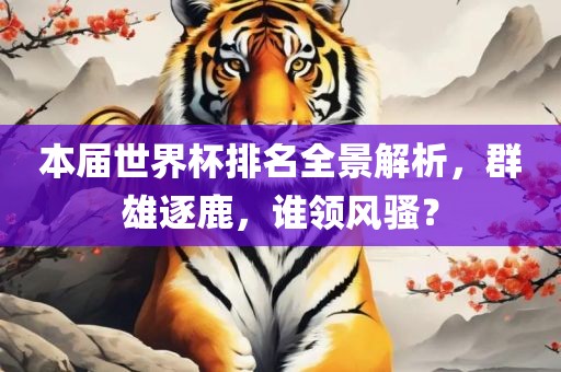 本届世界杯排名全景解析，群雄逐鹿，谁领风骚？