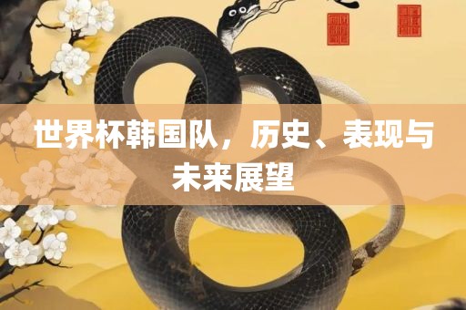 世界杯韩国队，历史、表现与未来展望