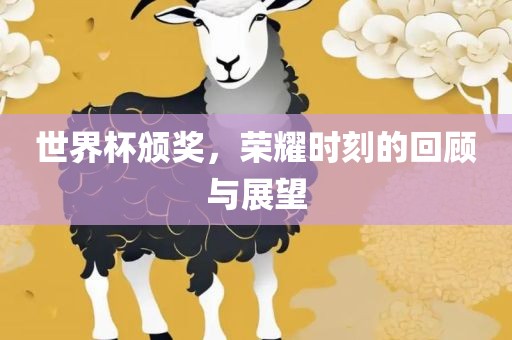 世界杯颁奖，荣耀时刻的回顾与展望漯河市盈旭机械设备有限公司