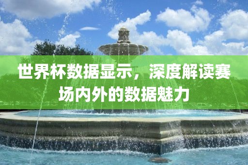 世界杯数据显示，深度解读赛场内外的数据魅力