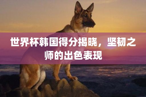 世界杯韩国得分揭晓，坚韧之师的出色表现