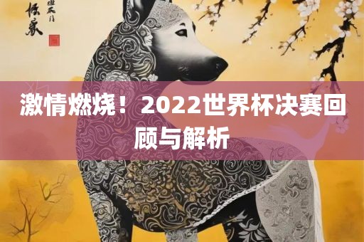 激情燃烧回顾解析
