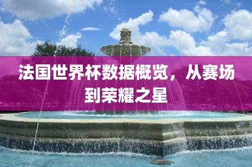 法国世界杯数据概览，从赛场到荣耀之星