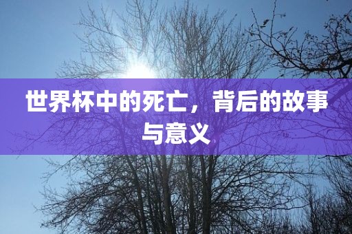 世界杯中的死亡，背后的故事与意义