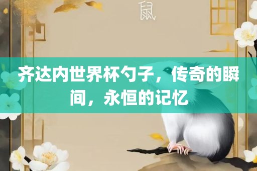 齐达内世界杯勺子，传奇的瞬间，永恒的记忆