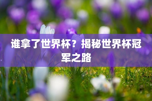 谁拿了世界杯？揭秘世界杯冠军之路漯河市盈旭机械设备有限公司
