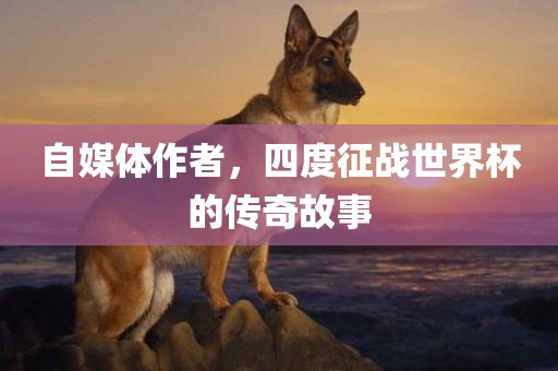 自媒体作者，四度征战世界杯的传奇故事