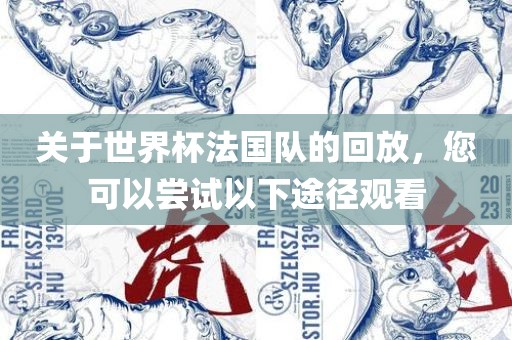 关于世界杯法国队的回放，您可以尝试以下途径观看