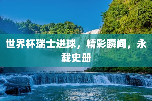 世界杯瑞士进球，精彩瞬间，永载史册