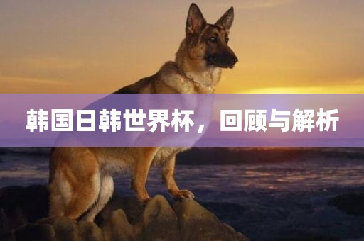 韩国日韩世界杯，回顾与解析