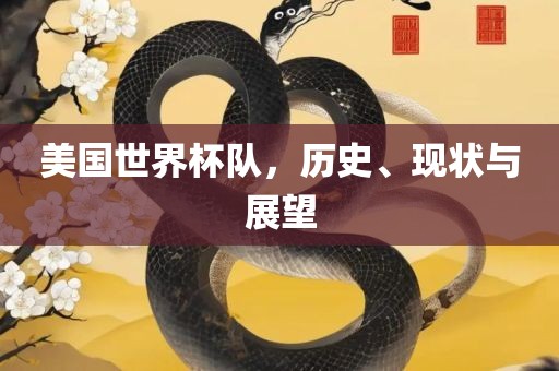 美国世界杯队，历史、现状与展望