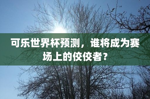 可乐世界杯预测，谁将成为赛场上的佼佼者？