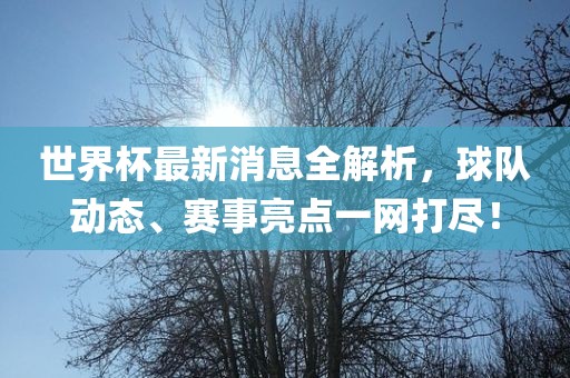 世界杯最新消息全解析，球队动态、赛事亮点一网打尽！