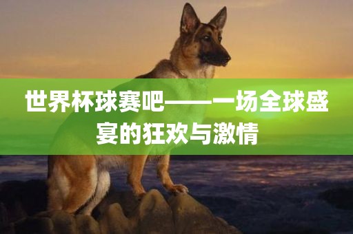 世界杯球赛