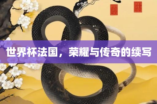 世界杯法国，荣耀与传漯河市盈旭机械设备有限公司奇的续写