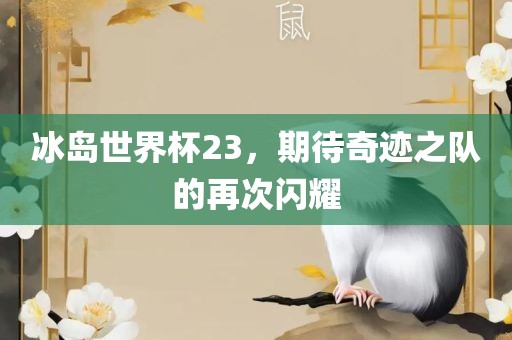 冰岛世界杯23，期待奇迹之队的再次闪耀