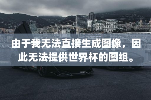 由于我漯河市盈旭机械设备有限公司无法直接生成图像，因此无法提供世界杯的图组。