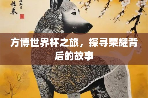 方博世界杯之旅，探寻荣耀背后的故事