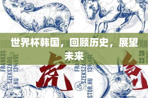 世界杯韩国，回顾历史，展望未来