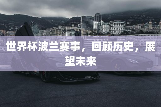 世界杯波兰赛事，回顾历史，展望未来