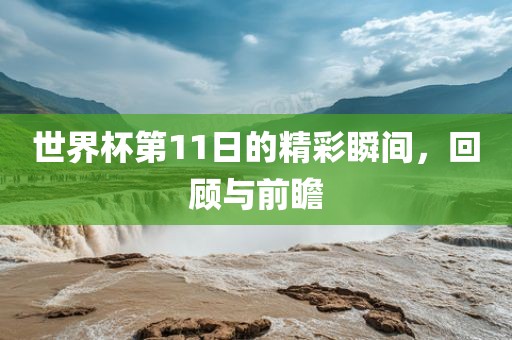 世界杯第11日的精彩瞬间，回顾与前瞻