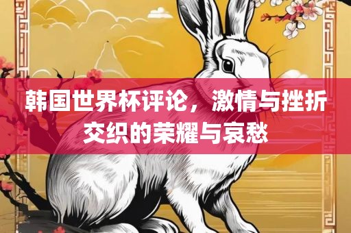 韩国世界杯评论，激情与挫折交织的荣耀与哀愁