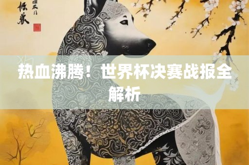热血沸腾！世界杯决赛战报全解析漯河市盈旭机械设备有限公司